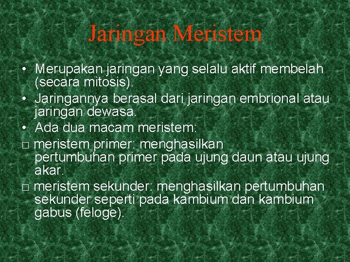 Jaringan Meristem • Merupakan jaringan yang selalu aktif membelah (secara mitosis). • Jaringannya berasal Jaringan Meristem • Merupakan jaringan yang selalu aktif membelah (secara mitosis). • Jaringannya berasal