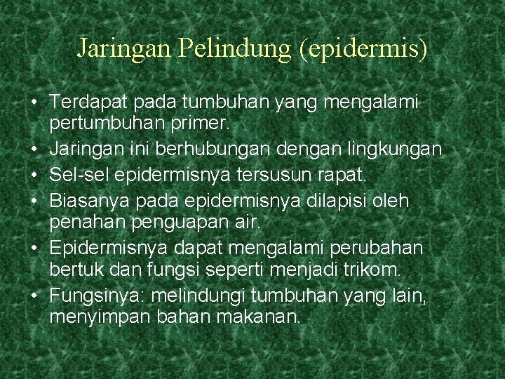 Jaringan Pelindung (epidermis) • Terdapat pada tumbuhan yang mengalami pertumbuhan primer. • Jaringan ini