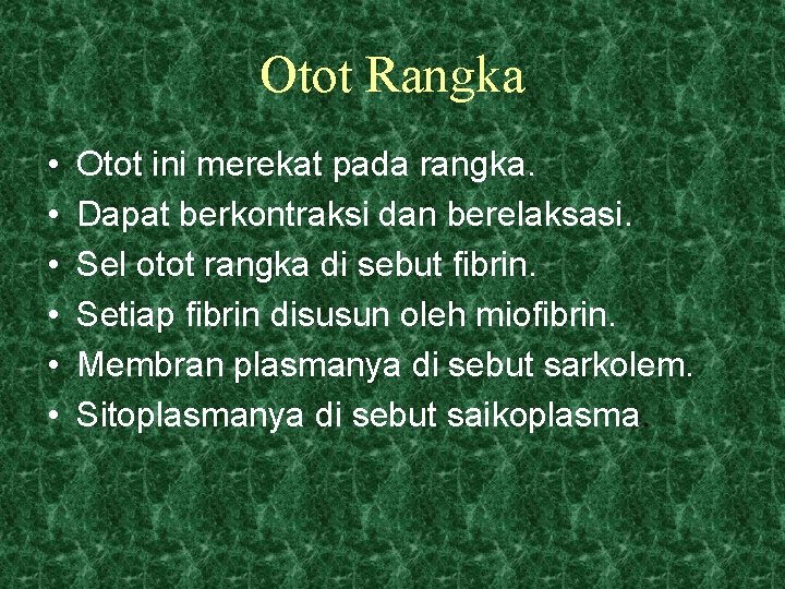 Otot Rangka • • • Otot ini merekat pada rangka. Dapat berkontraksi dan berelaksasi.