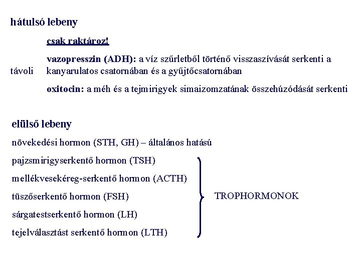 hátulsó lebeny csak raktároz! távoli vazopresszin (ADH): a víz szűrletből történő visszaszívását serkenti a