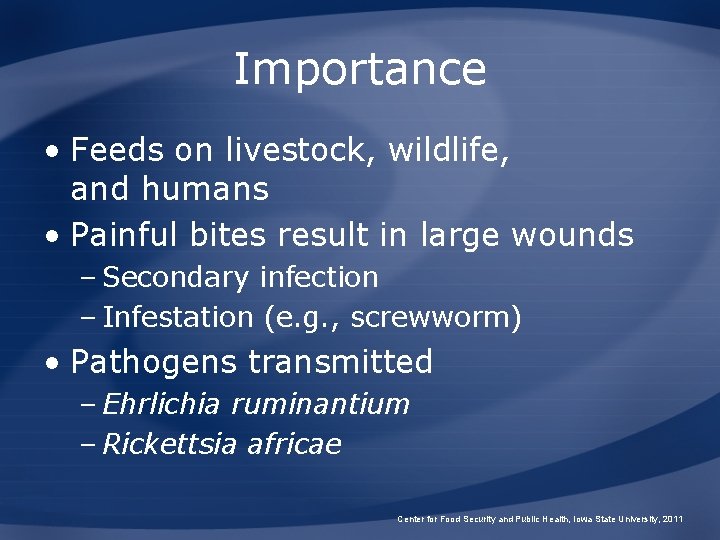 Importance • Feeds on livestock, wildlife, and humans • Painful bites result in large