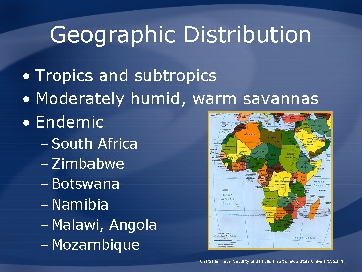 Geographic Distribution • Tropics and subtropics • Moderately humid, warm savannas • Endemic –