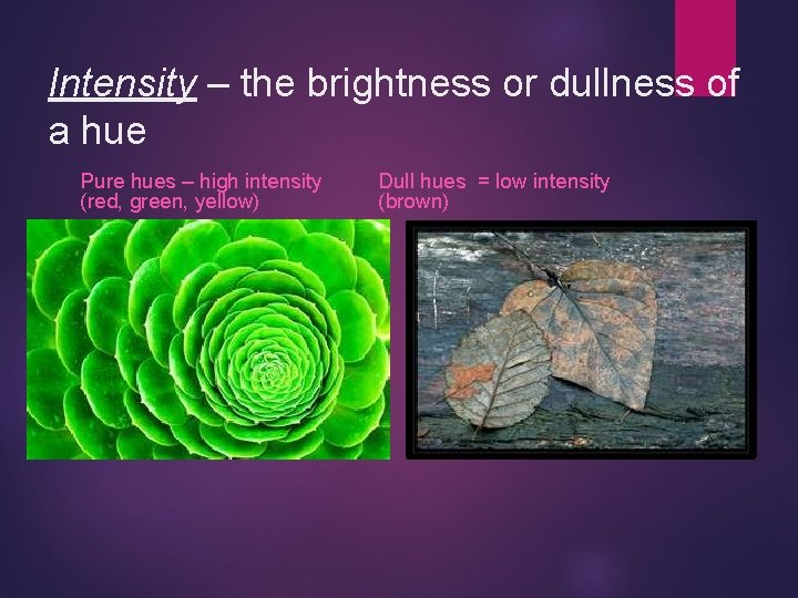 Intensity – the brightness or dullness of a hue Pure hues – high intensity