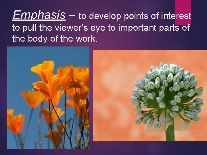 Emphasis – to develop points of interest to pull the viewer’s eye to important