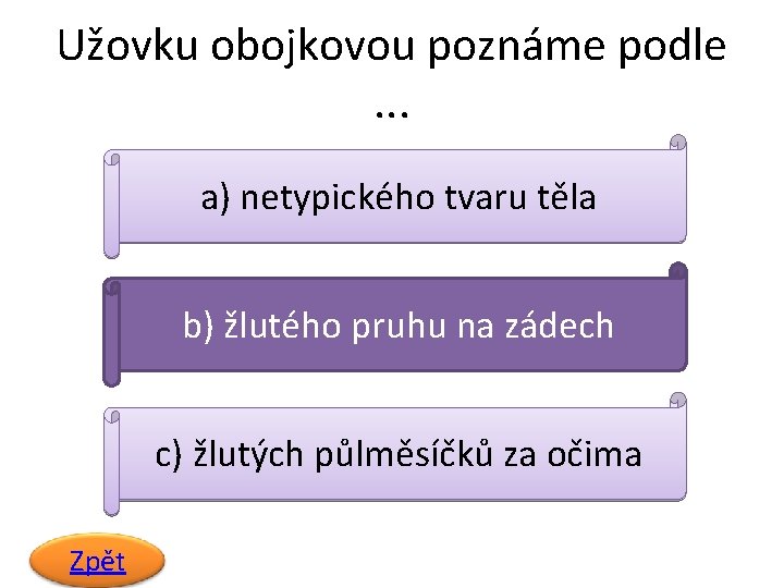 Užovku obojkovou poznáme podle. . . a) netypického tvaru těla b) žlutého pruhu na