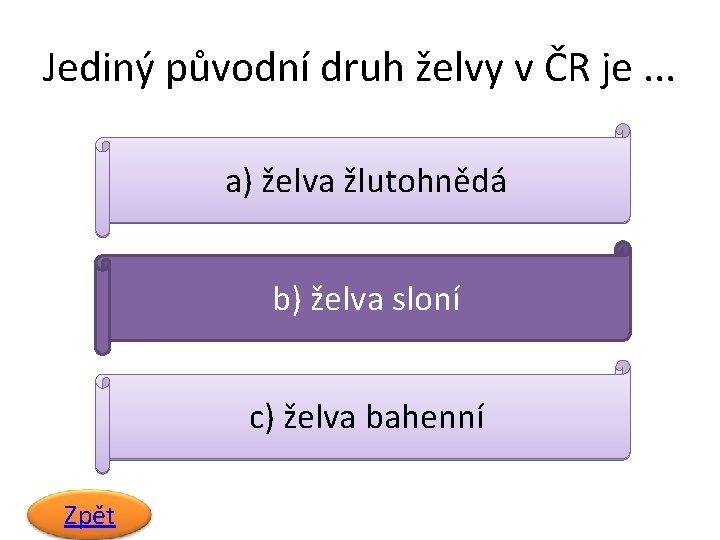 Jediný původní druh želvy v ČR je. . . a) želva žlutohnědá b) želva