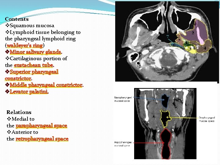 Contents v. Squamous mucosa v. Lymphoid tissue belonging to the pharyngeal lymphoid ring (waldeyer's