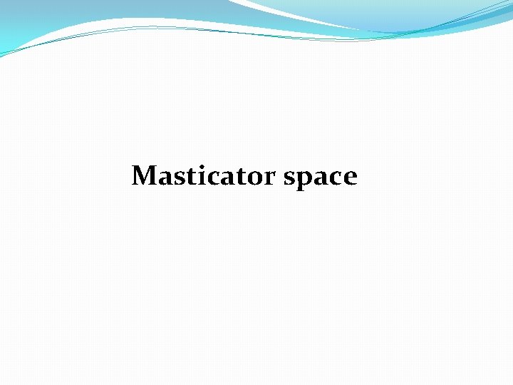 Masticator space 