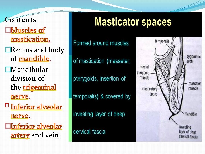 Contents �Muscles of mastication. �Ramus and body of mandible. �Mandibular division of the trigeminal