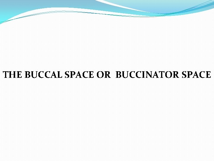 THE BUCCAL SPACE OR BUCCINATOR SPACE 