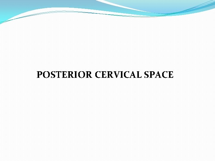 POSTERIOR CERVICAL SPACE 
