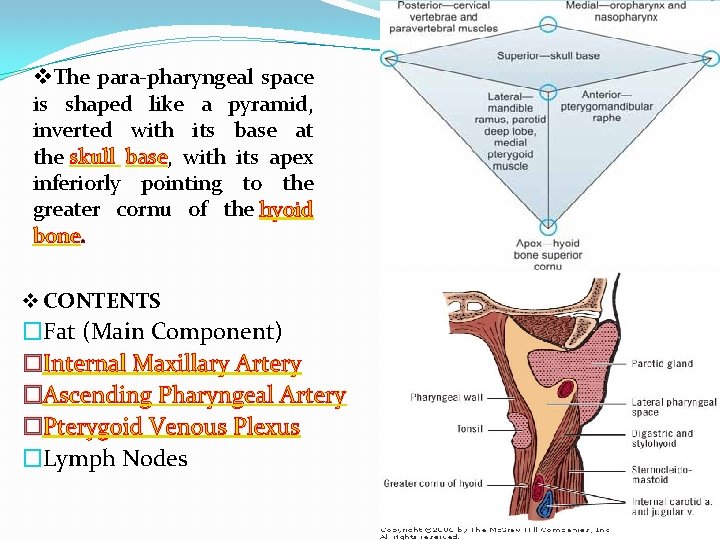 v. The para-pharyngeal space is shaped like a pyramid, inverted with its base at