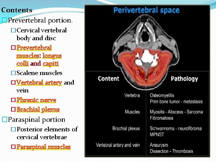 Contents �Prevertebral portion. �Cervical vertebral body and disc �Prevertebral muscles: longus colli and capiti