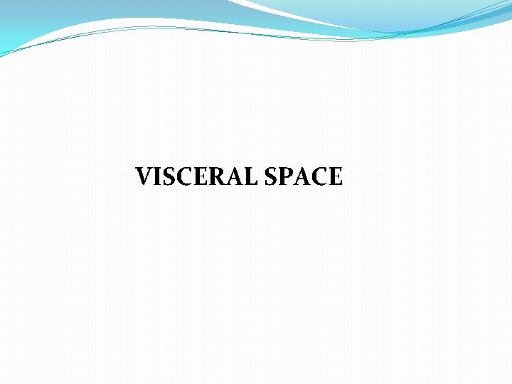 VISCERAL SPACE 
