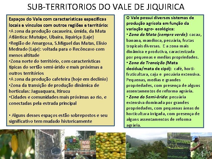 SUB-TERRITORIOS DO VALE DE JIQUIRICA Espaços do Vale com características especificas locais e vínculos