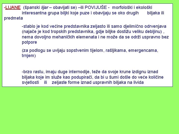 -LIJANE (španski lijar – obavijati se) –ili POVIJUŠE - morfološki i ekološki interesantna grupa