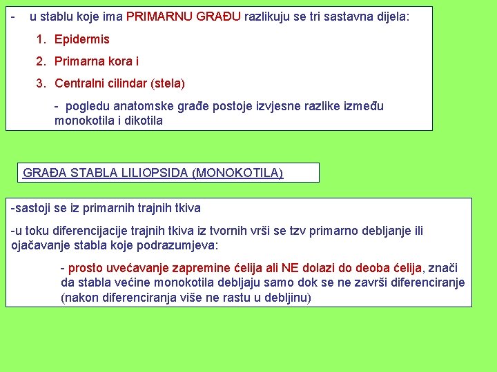 - u stablu koje ima PRIMARNU GRAĐU razlikuju se tri sastavna dijela: 1. Epidermis