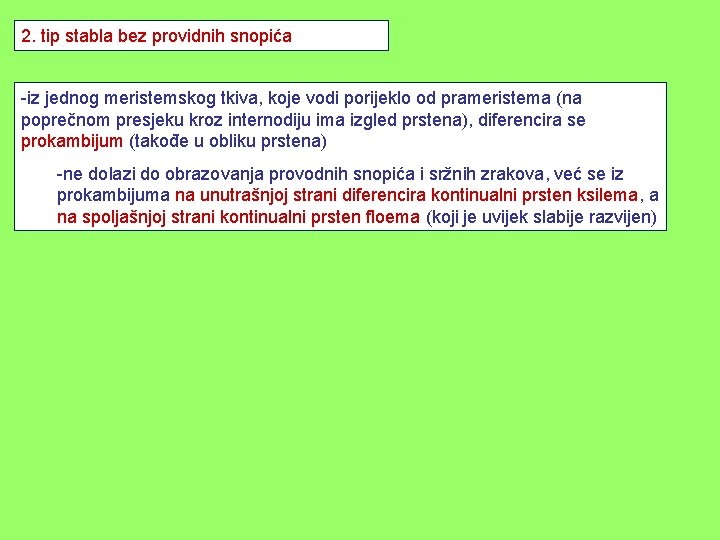 2. tip stabla bez providnih snopića -iz jednog meristemskog tkiva, koje vodi porijeklo od