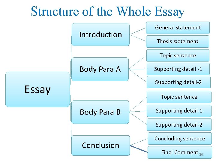 Structure of the Whole Essay Introduction General statement Thesis statement Topic sentence Body Para
