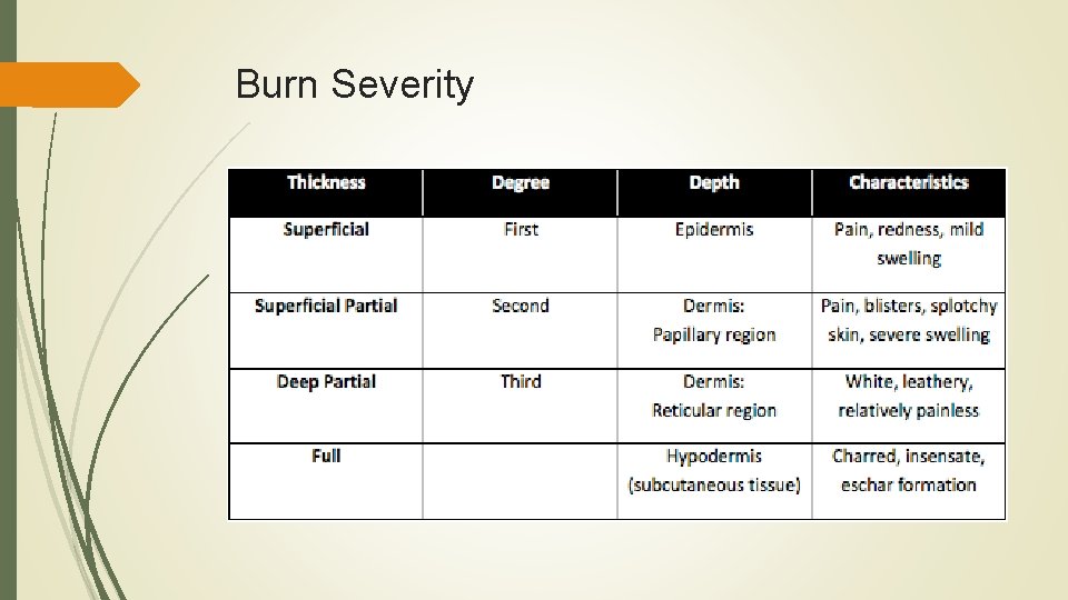 Burn Severity 
