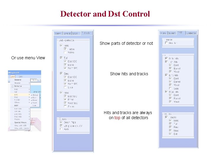 Detector and Dst Control Show parts of detector or not Or use menu View