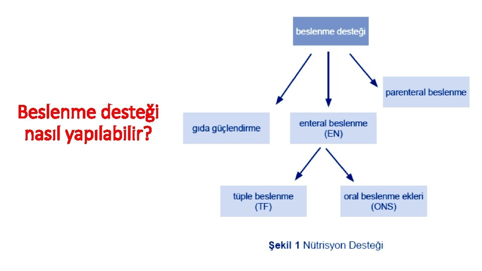 Beslenme desteği nasıl yapılabilir? 