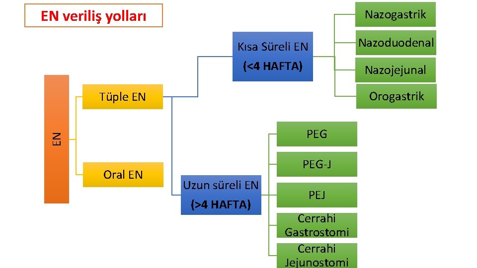 EN veriliş yolları Nazogastrik Nazoduodenal Kısa Süreli EN (<4 HAFTA) Nazojejunal Orogastrik Tüple EN