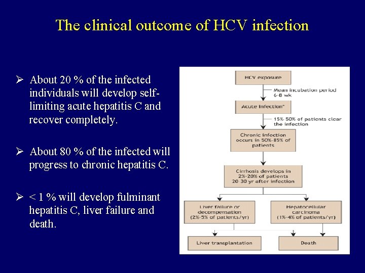 The clinical outcome of HCV infection Ø About 20 % of the infected individuals