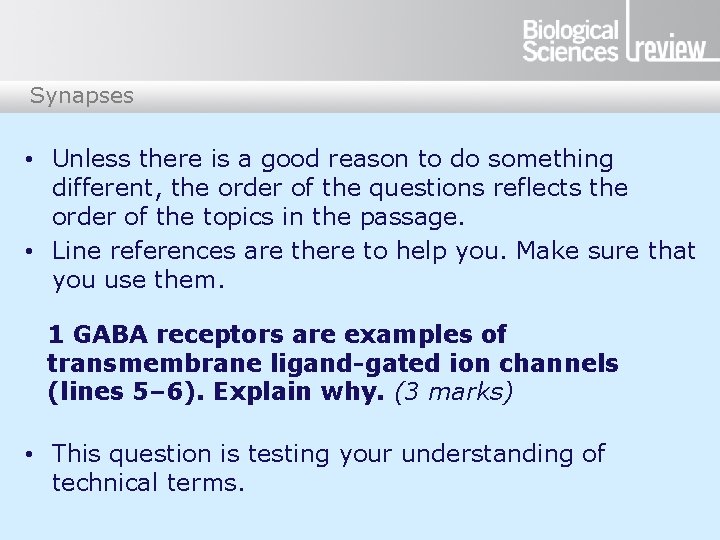 Synapses • Unless there is a good reason to do something different, the order