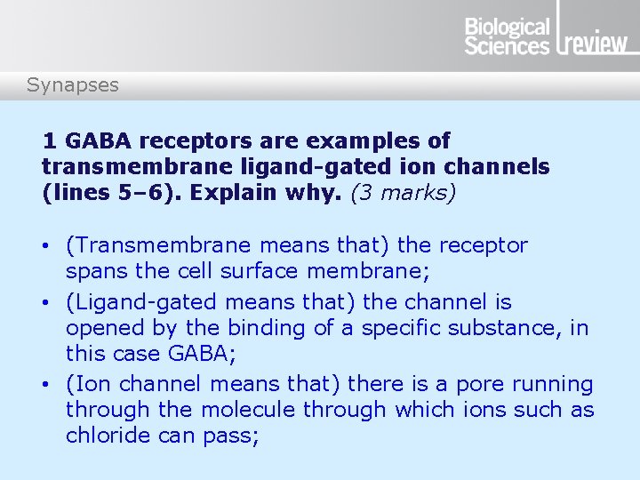 Synapses 1 GABA receptors are examples of transmembrane ligand-gated ion channels (lines 5– 6).