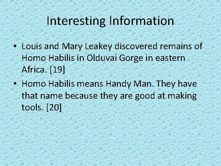 Interesting Information • Louis and Mary Leakey discovered remains of Homo Habilis in Olduvai