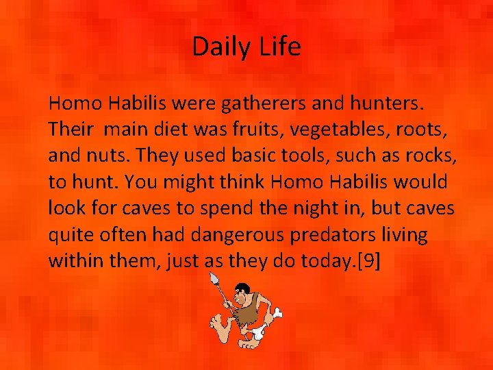 Daily Life Homo Habilis were gatherers and hunters. Their main diet was fruits, vegetables,