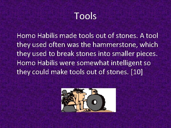 Tools Homo Habilis made tools out of stones. A tool they used often was