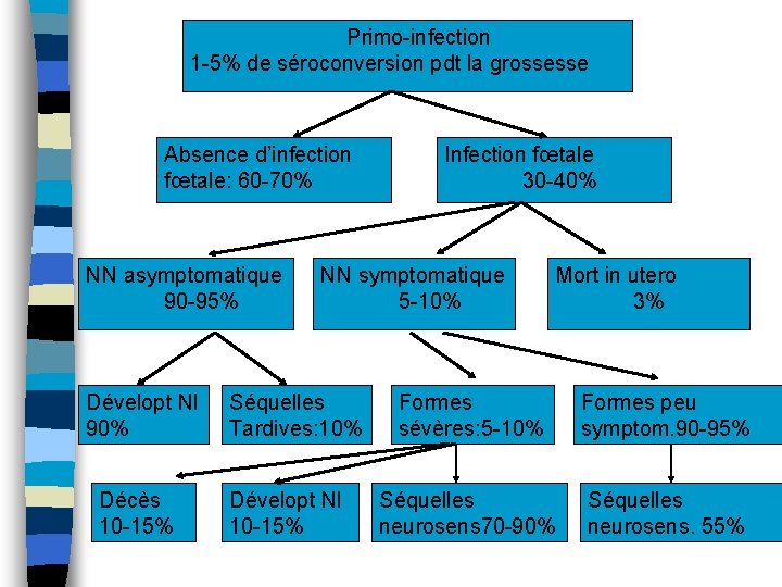Primo-infection 1 -5% de séroconversion pdt la grossesse Absence d’infection fœtale: 60 -70% NN