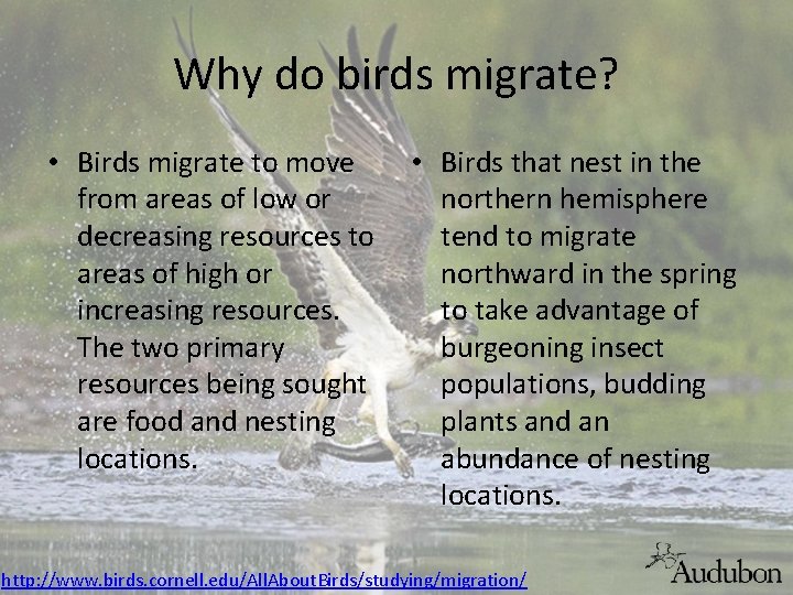 Why do birds migrate? • Birds migrate to move from areas of low or