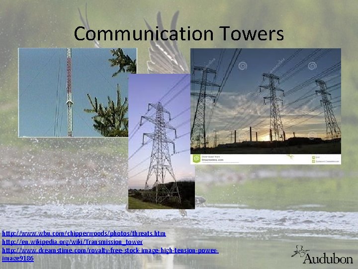 Communication Towers http: //www. wbu. com/chipperwoods/photos/threats. htm http: //en. wikipedia. org/wiki/Transmission_tower http: //www. dreamstime.