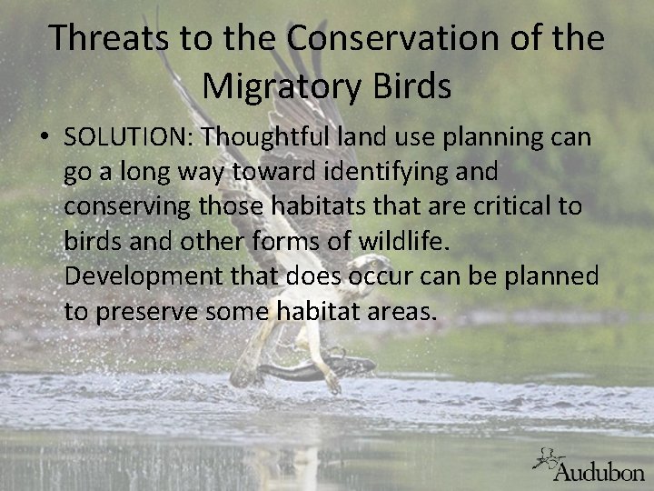 Threats to the Conservation of the Migratory Birds • SOLUTION: Thoughtful land use planning