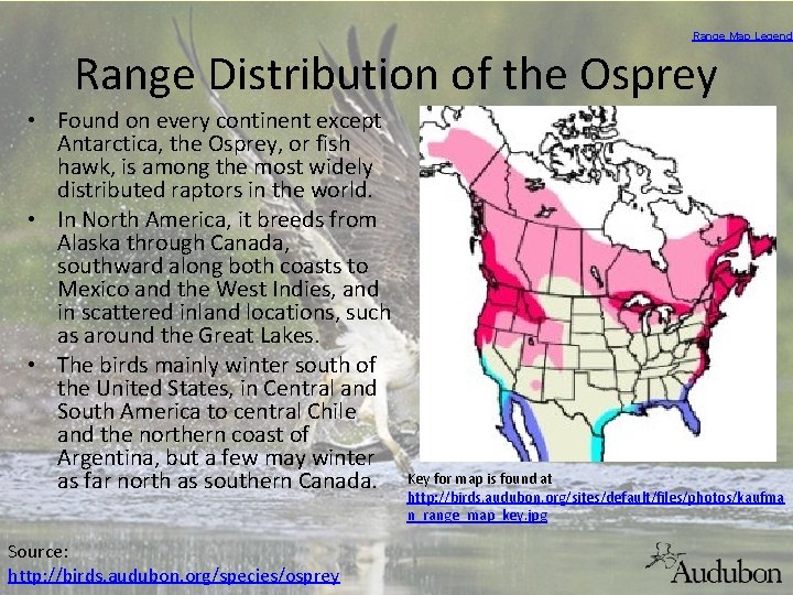 Range Map Legend Range Distribution of the Osprey • Found on every continent except