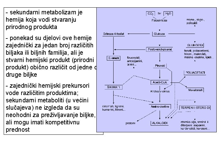 - sekundarni metabolizam je hemija koja vodi stvaranju prirodnog produkta - ponekad su djelovi