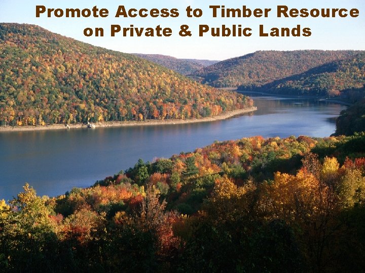 Promote Access to Timber Resource on Private & Public Lands 