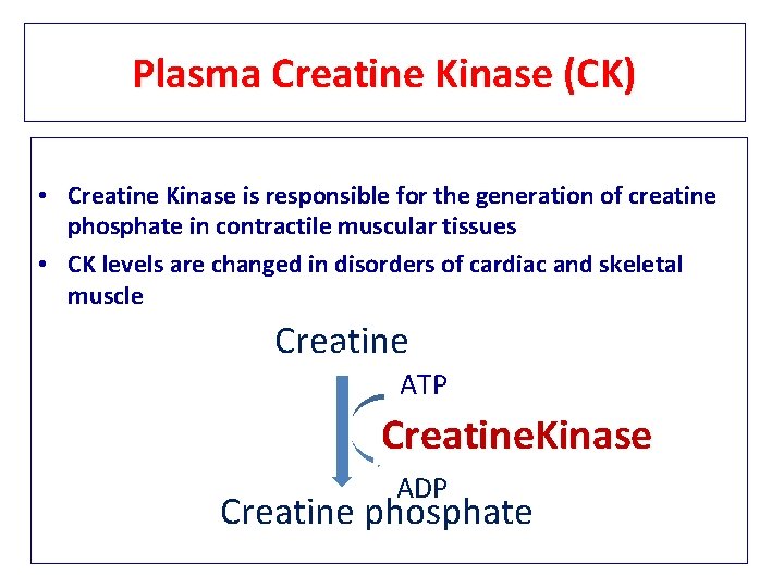 Plasma Creatine Kinase (CK) • Creatine Kinase is responsible for the generation of creatine