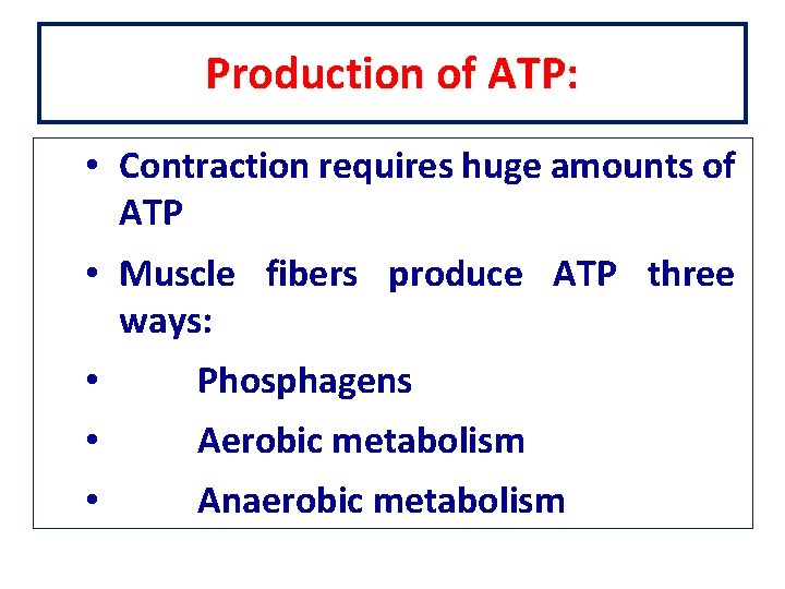 Production of ATP: • Contraction requires huge amounts of ATP • Muscle fibers produce