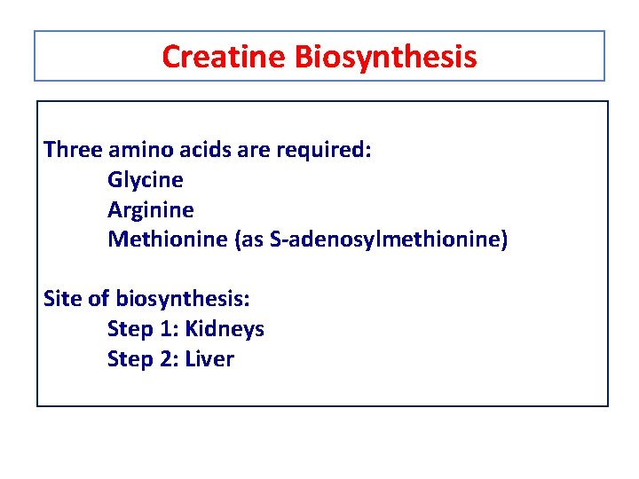 Creatine Biosynthesis Three amino acids are required: Glycine Arginine Methionine (as S-adenosylmethionine) Site of