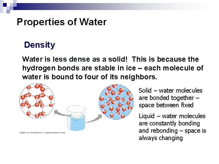 Properties of Water Density Water is less dense as a solid! This is because