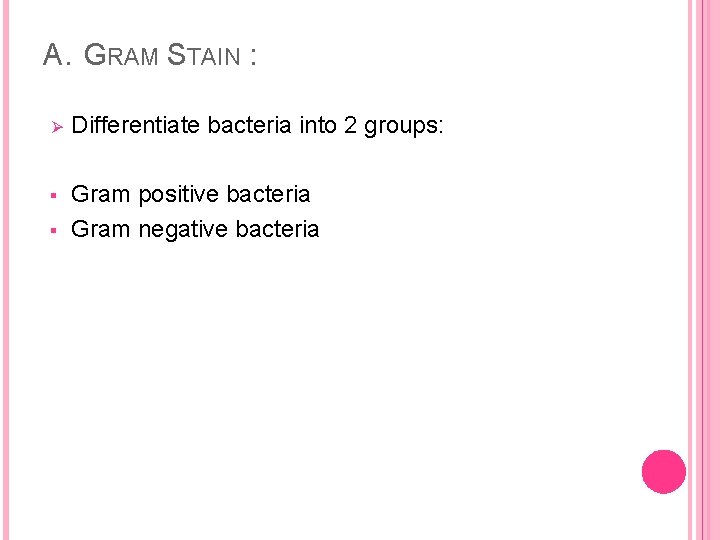 A. GRAM STAIN : Ø Differentiate bacteria into 2 groups: § Gram positive bacteria