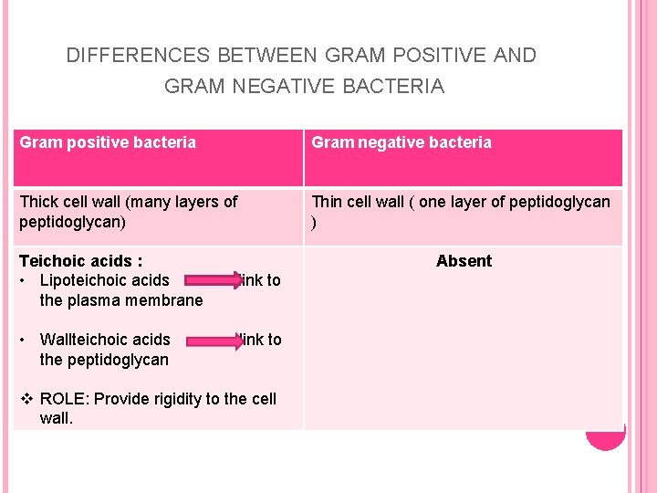 DIFFERENCES BETWEEN GRAM POSITIVE AND GRAM NEGATIVE BACTERIA Gram positive bacteria Gram negative bacteria