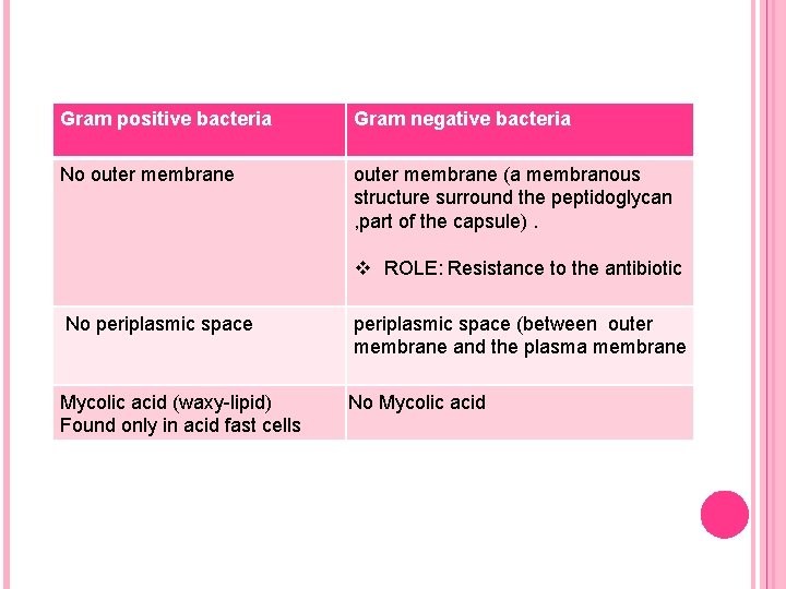 Gram positive bacteria Gram negative bacteria No outer membrane (a membranous structure surround the