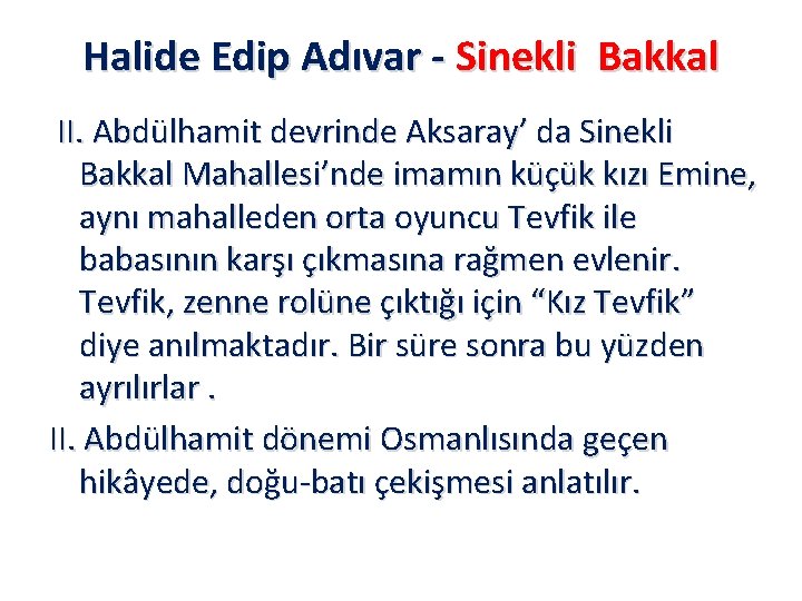 Halide Edip Adıvar - Sinekli Bakkal II. Abdülhamit devrinde Aksaray’ da Sinekli Bakkal Mahallesi’nde