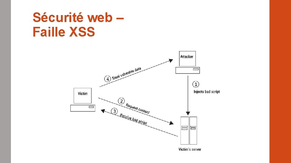Sécurité web – Faille XSS 