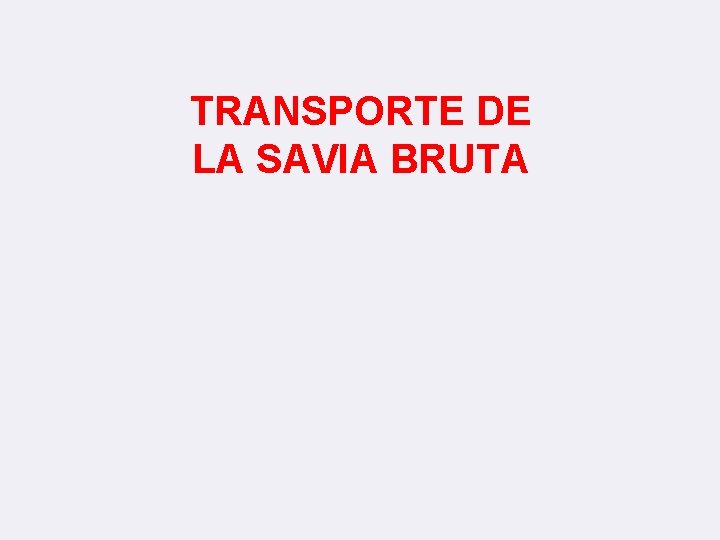 TRANSPORTE DE LA SAVIA BRUTA 